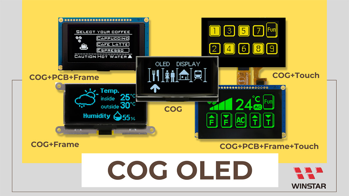 Quick COG OLED Module Selection Guide by Winstar